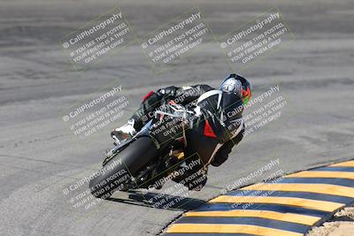 media/Feb-04-2024-SoCal Trackdays (Sun) [[91d6515b1d]]/4-Bowl Backside (11am)/